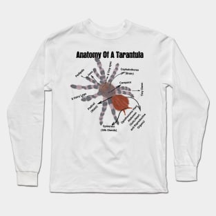 Anatomy of a Tarantula Long Sleeve T-Shirt